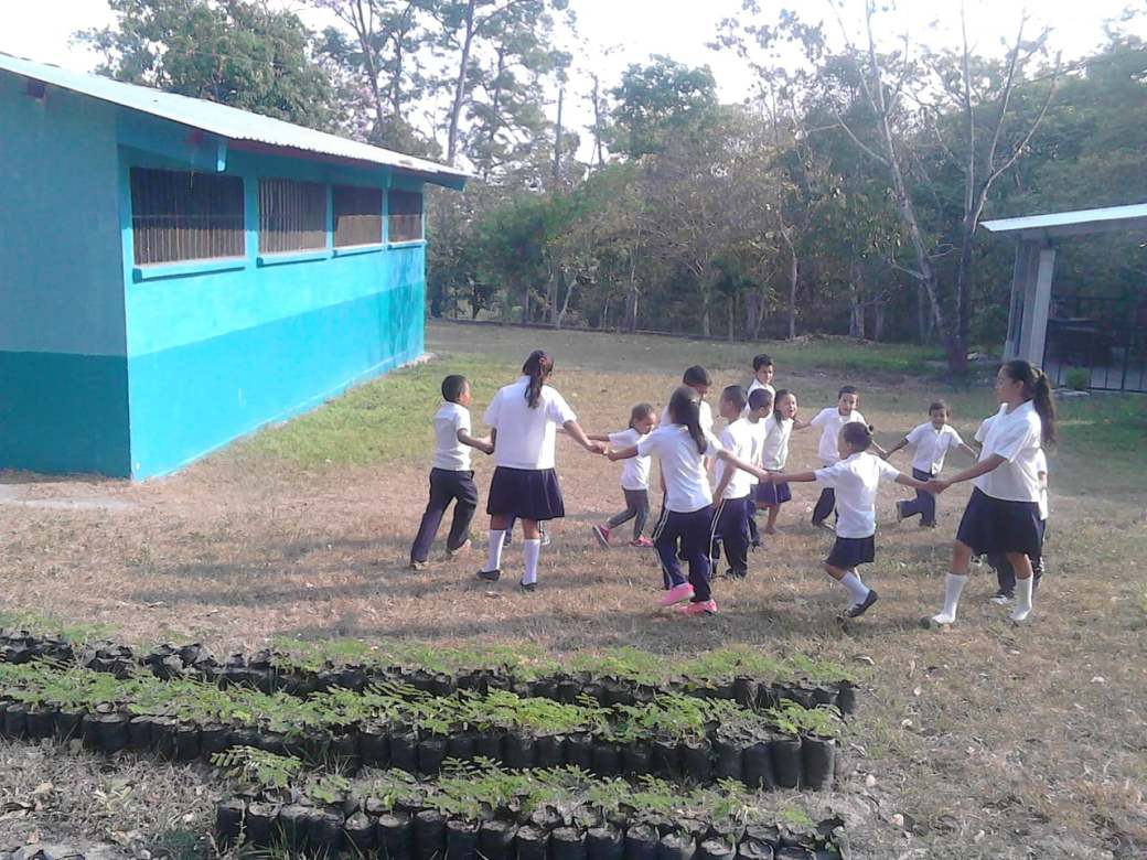 42186212_298180050981410_8794721106574442496_n